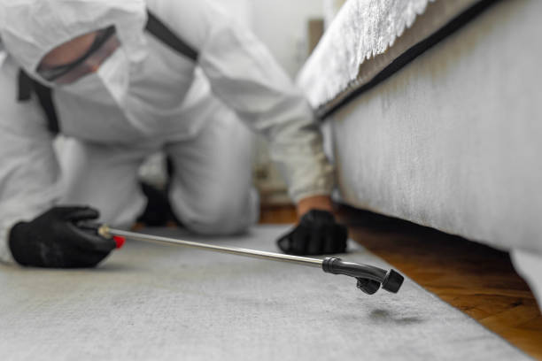 Professional Bed Bug Control technician working in Cottonwood Heights, UT