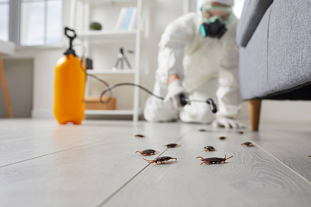 Trusted Cockroach Control service in Cottonwood Heights, UT - Nex Pest Control