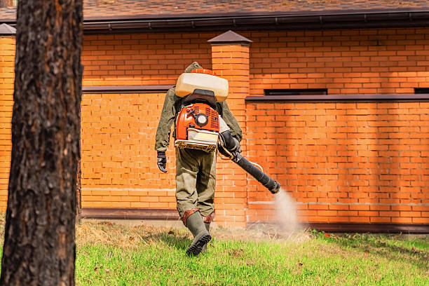 Trusted Rodent Control service in Cottonwood Heights, UT - Nex Pest Control